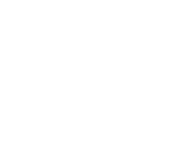 RoadReady Solutions